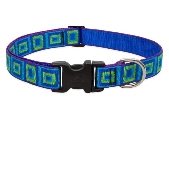 LupinePet Dog Collar - 1” width collar fits dog with necks from 12”-20” necks. - Picture 1 of 5